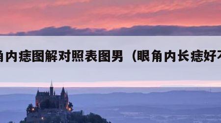 眼角内痣图解对照表图男（眼角内长痣好不好）