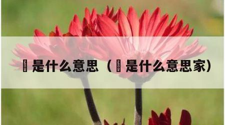 豖是什么意思（豖是什么意思家）