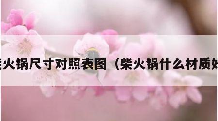 柴火锅尺寸对照表图（柴火锅什么材质好）