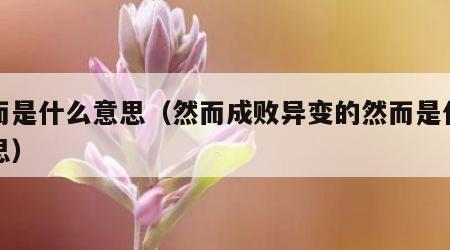 然而是什么意思（然而成败异变的然而是什么意思）