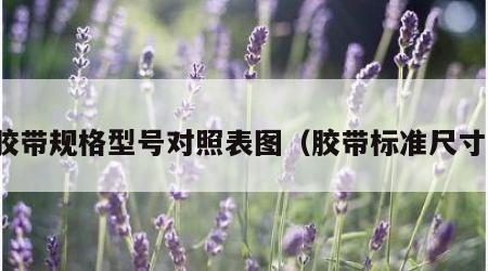 胶带规格型号对照表图（胶带标准尺寸）