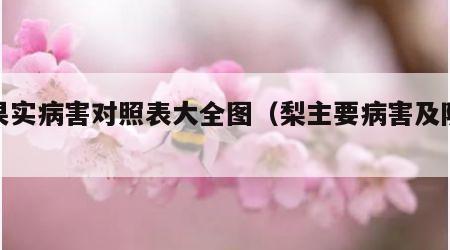 梨果实病害对照表大全图（梨主要病害及防治）