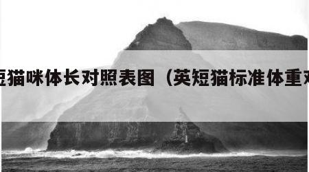 英短猫咪体长对照表图（英短猫标准体重对照表）