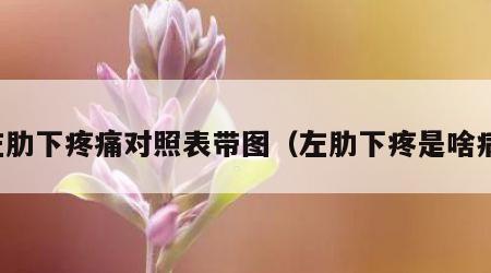 左肋下疼痛对照表带图（左肋下疼是啥病）