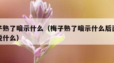 梅子熟了暗示什么（梅子熟了暗示什么后面应该说什么）