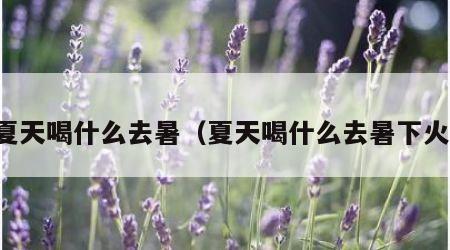夏天喝什么去暑（夏天喝什么去暑下火）