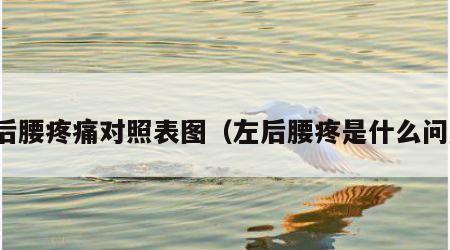 左后腰疼痛对照表图（左后腰疼是什么问题）