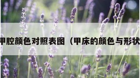 甲腔颜色对照表图（甲床的颜色与形状）