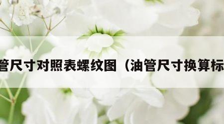 油管尺寸对照表螺纹图（油管尺寸换算标准）