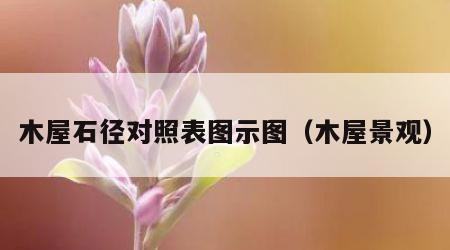 木屋石径对照表图示图（木屋景观）