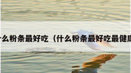 什么粉条最好吃（什么粉条最好吃最健康）