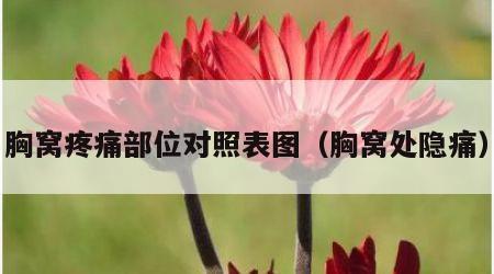 胸窝疼痛部位对照表图（胸窝处隐痛）
