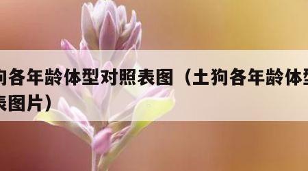 土狗各年龄体型对照表图（土狗各年龄体型对照表图片）