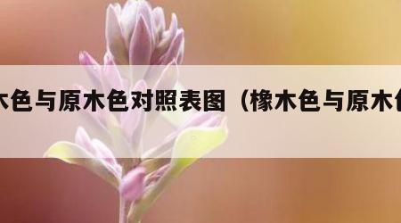 橡木色与原木色对照表图（橡木色与原木色区别）