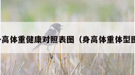 身高体重健康对照表图（身高体重体型图）