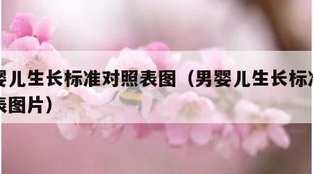 男婴儿生长标准对照表图（男婴儿生长标准对照表图片）