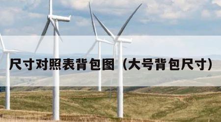 尺寸对照表背包图（大号背包尺寸）