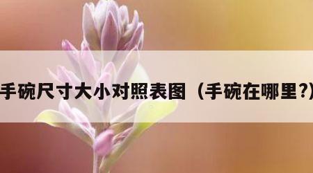 手碗尺寸大小对照表图（手碗在哪里?）