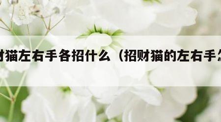 招财猫左右手各招什么（招财猫的左右手怎么看）