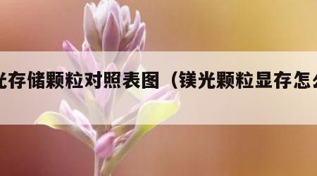 镁光存储颗粒对照表图（镁光颗粒显存怎么样）