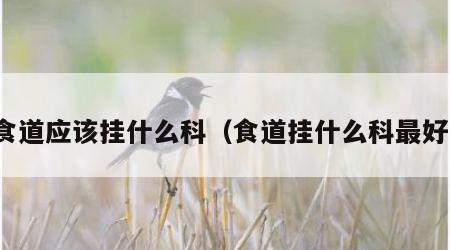 食道应该挂什么科（食道挂什么科最好）