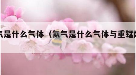 氦气是什么气体（氦气是什么气体与重锰酸钾）