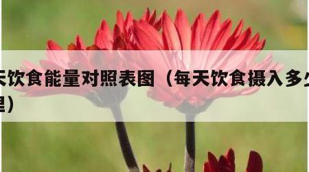 每天饮食能量对照表图（每天饮食摄入多少卡路里）