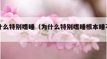 为什么特别嗜睡（为什么特别嗜睡根本睡不醒）