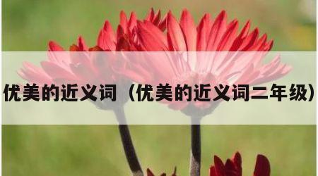 优美的近义词（优美的近义词二年级）
