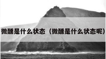微醺是什么状态（微醺是什么状态呢）