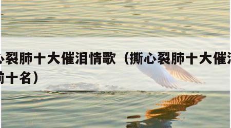 撕心裂肺十大催泪情歌（撕心裂肺十大催泪情歌前十名）
