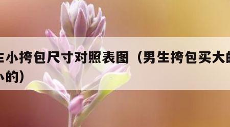 男生小挎包尺寸对照表图（男生挎包买大的还是小的）