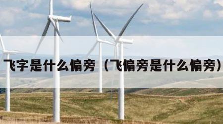 飞字是什么偏旁（飞偏旁是什么偏旁）