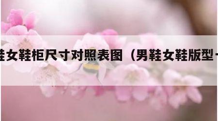 男鞋女鞋柜尺寸对照表图（男鞋女鞋版型一样吗）