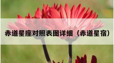 赤道星座对照表图详细（赤道星宿）