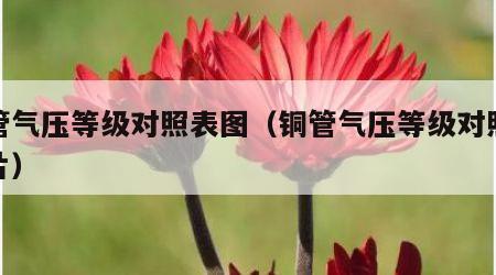 铜管气压等级对照表图（铜管气压等级对照表图片）