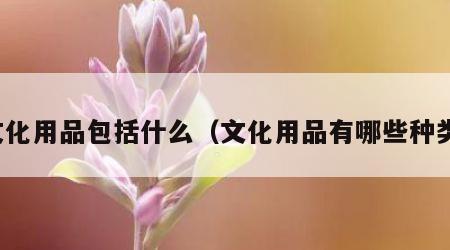文化用品包括什么（文化用品有哪些种类）