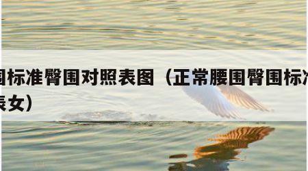 腰围标准臀围对照表图（正常腰围臀围标准对照表女）