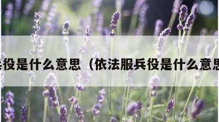 兵役是什么意思（依法服兵役是什么意思）