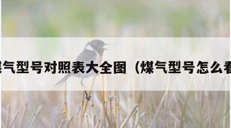 煤气型号对照表大全图（煤气型号怎么看）