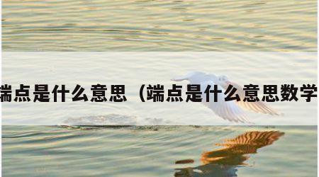 端点是什么意思（端点是什么意思数学）