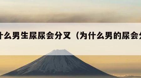 为什么男生尿尿会分叉（为什么男的尿会分叉）