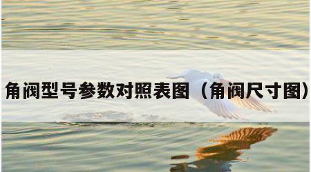 角阀型号参数对照表图（角阀尺寸图）