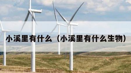 小溪里有什么（小溪里有什么生物）
