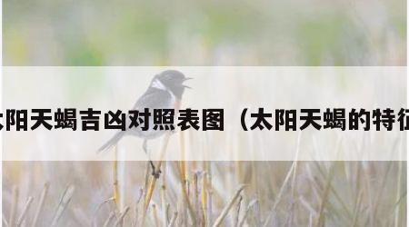 太阳天蝎吉凶对照表图（太阳天蝎的特征）