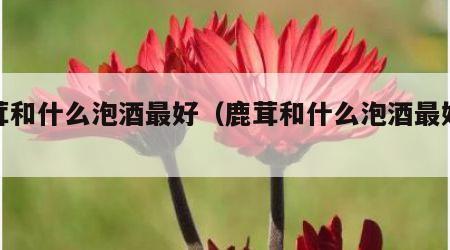鹿茸和什么泡酒最好（鹿茸和什么泡酒最好女士）