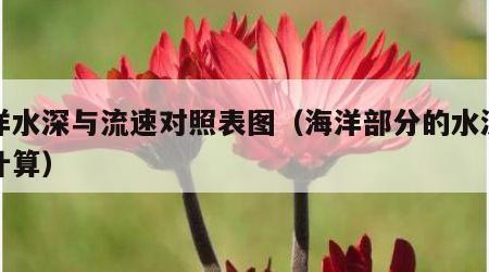 海洋水深与流速对照表图（海洋部分的水深如何计算）