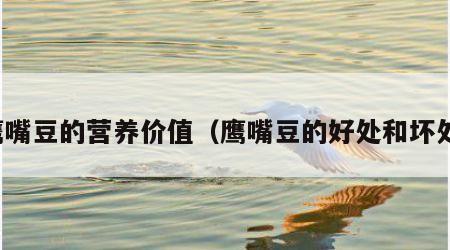 鹰嘴豆的营养价值（鹰嘴豆的好处和坏处）
