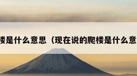 爬楼是什么意思（现在说的爬楼是什么意思）