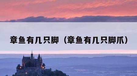 章鱼有几只脚（章鱼有几只脚爪）